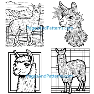 Alpacas All Ages Bundle (#1) 125 Pages