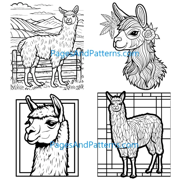 Alpacas All Ages Bundle (#1) 125 Pages