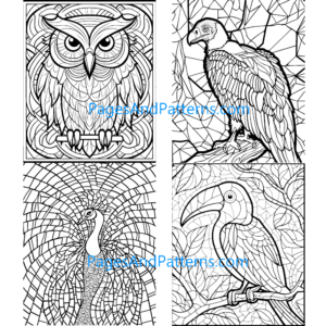 Birds Age 7+ Bundle (#1) 125 Pages