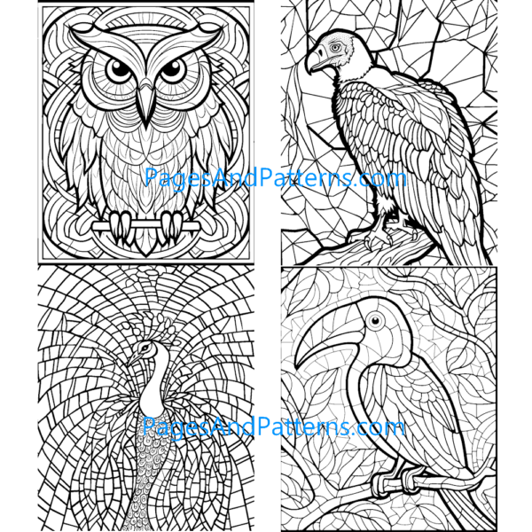Birds Age 7+ Bundle (#1) 125 Pages