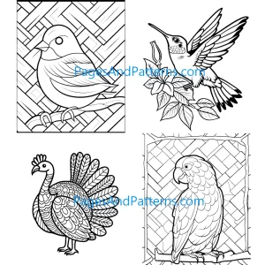 Birds All Ages Bundle (#1) 100 Pages