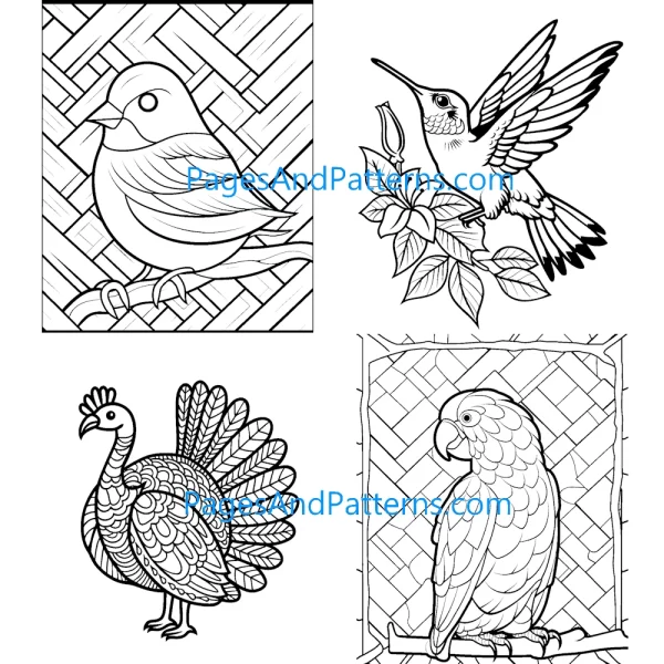 Birds All Ages Bundle (#1) 100 Pages