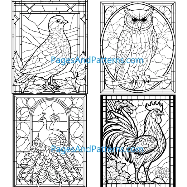 Birds Stained Glass Window Bundle #1 (100 Pages)