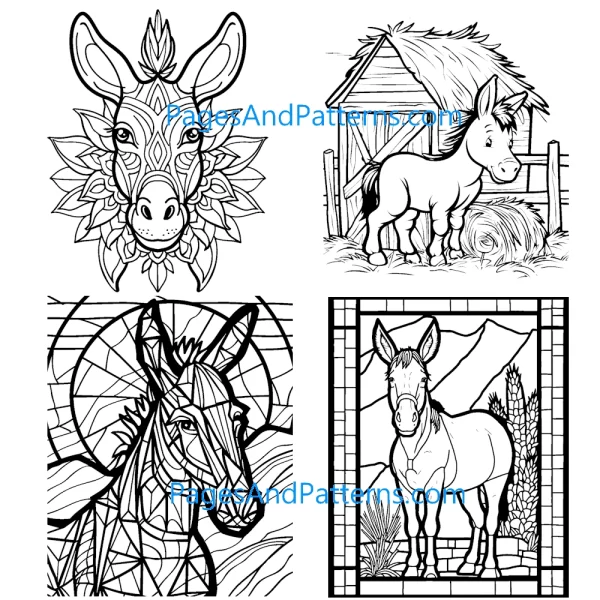 Donkeys All Ages Bundle #1 (125 Pages)
