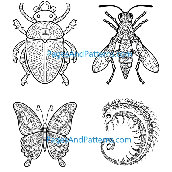Insects Ages 7+ Bundle (#1) 125 Pages